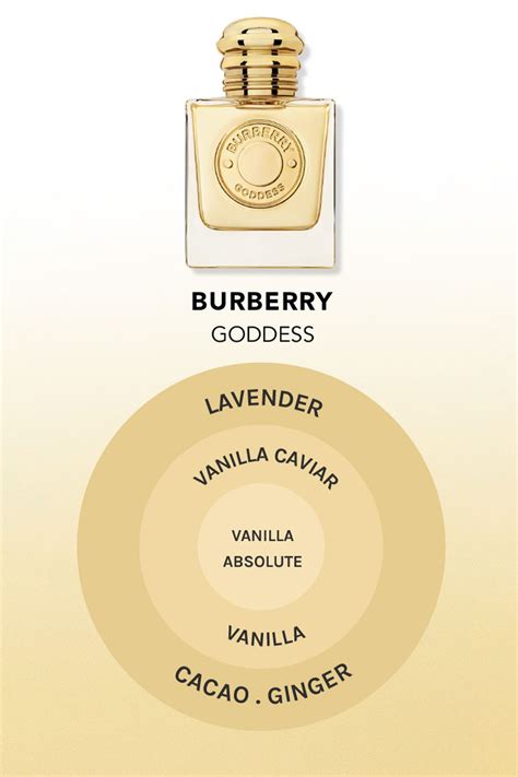 is burberry perfume good|what does Burberry smell like.